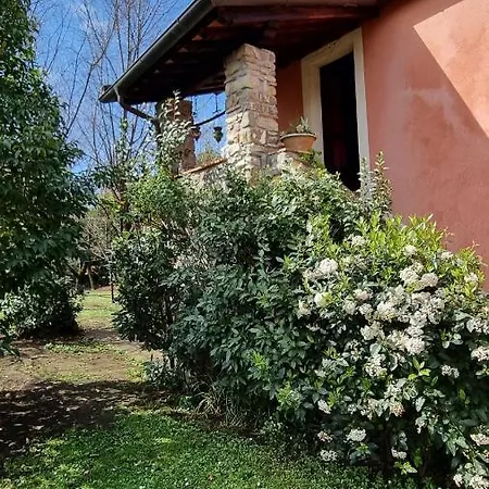 Сasa de vacaciones Rose Tuscany *