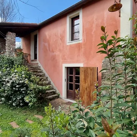 Rose Tuscany